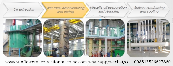 sunflower oil solvent extraction machine
