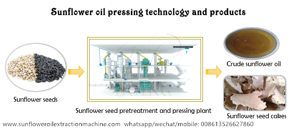 sunflower oil pressing technology