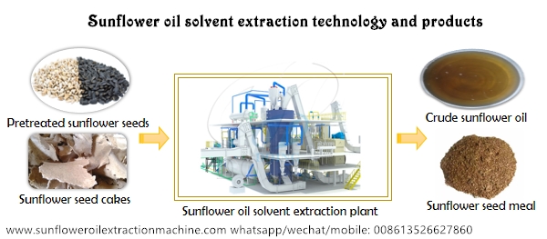 sunflower oil extraction process
