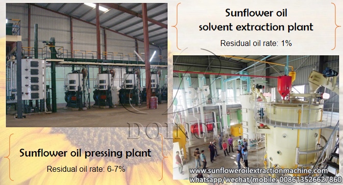 sunflower oil production machine