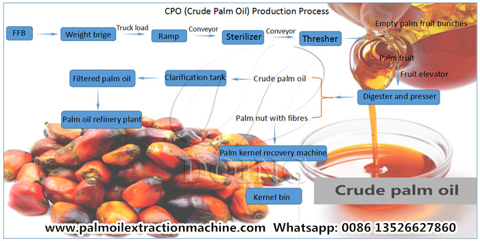 crude palm oil making process
